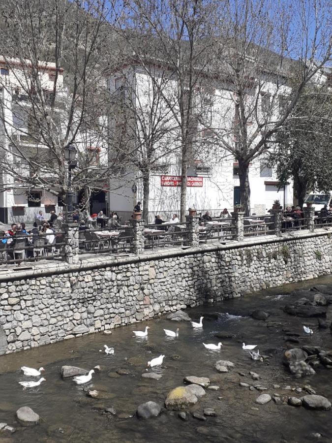 Apartamentos Pinos Genil *