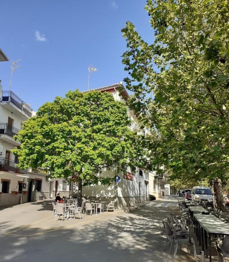 Apartament Apartamentos Pinos Genil
