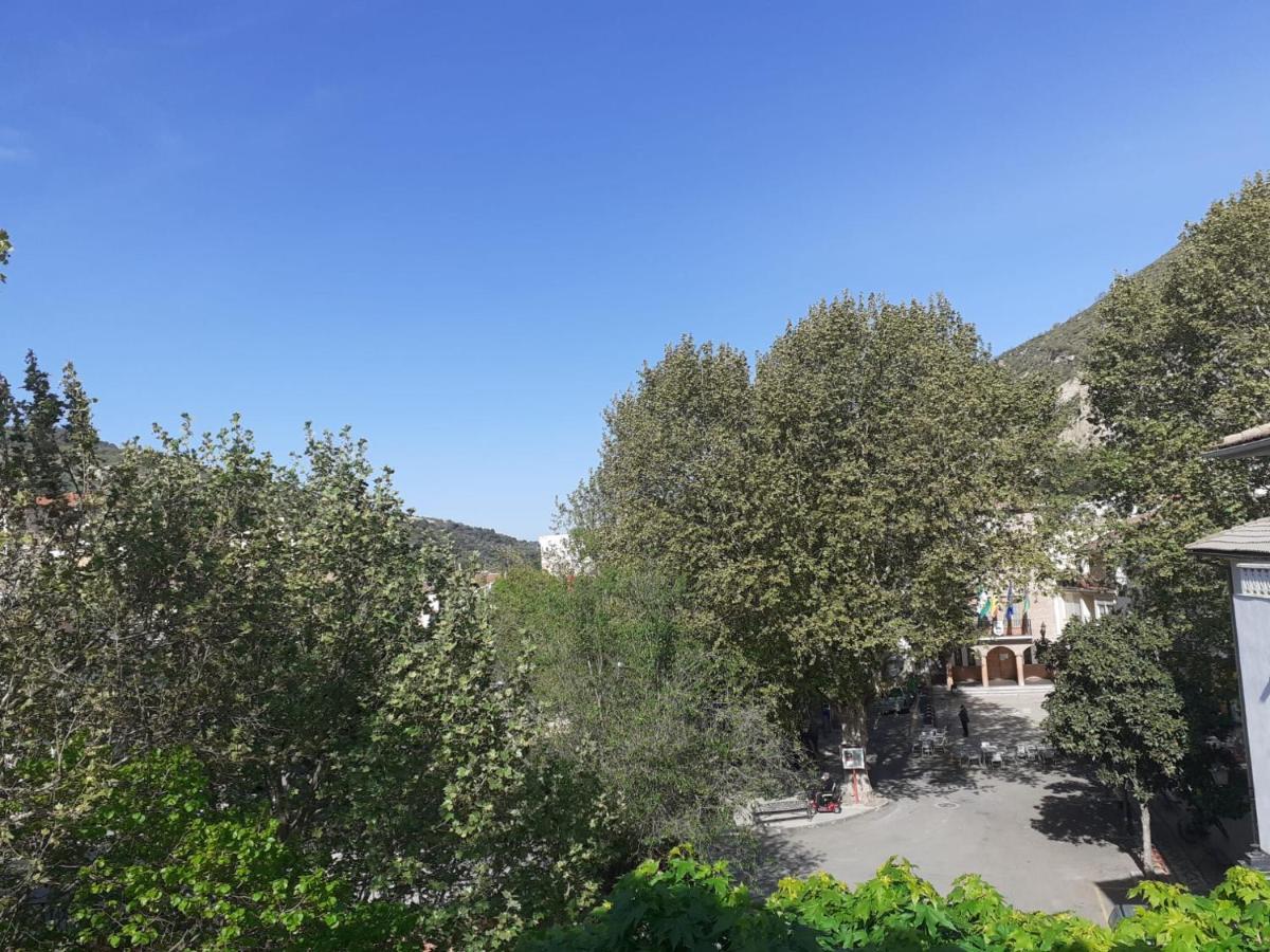 Apartament Apartamentos Pinos Genil